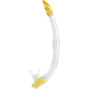 Gamma Snorkel