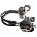 T10-SC PVD / Master Regulator
