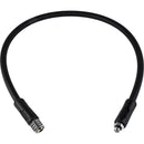 LP Regulator Hose (Primary)