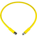 LP Regulator Hose (Occy)