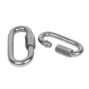 SS Locking Carabiner
