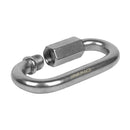SS Locking Carabiner